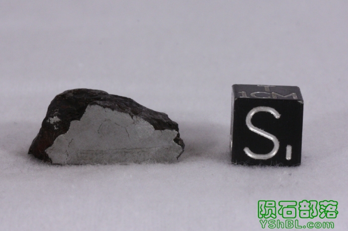 Campo meteorite 13.4g_3.JPG