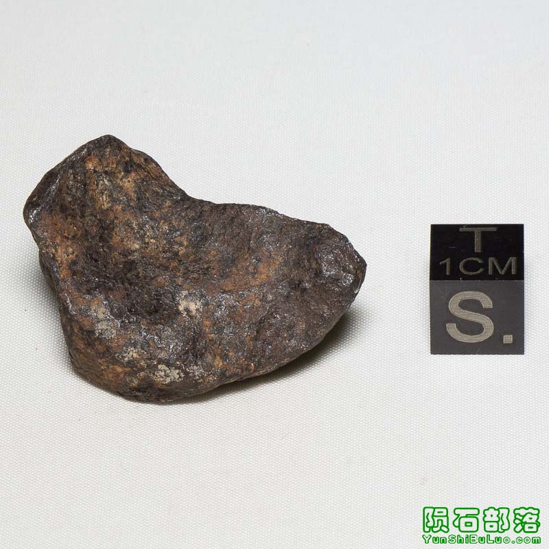 Mundrabilla Meteorite 54.9g